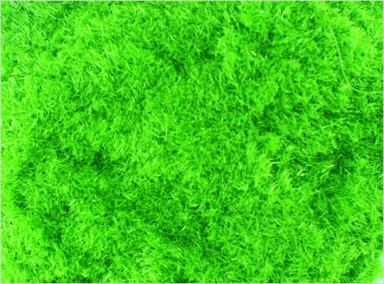 China 8# 1mm Custom Model Train Layouts Materials Nylon Lt Green Grass Powder supplier