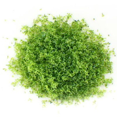China 923A Custom Scale Model Train Layouts Supplies Mesopore Sponge Grass Meal supplier