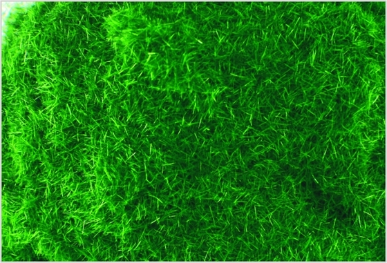 China J011 2mm Custom Model Train Layouts Supplies Deep Green Nylon Turf Grass  supplier