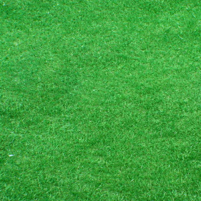 China N125 1*2.5m Custom Model Train Layouts Building Materials Nylon Turf Grass supplier