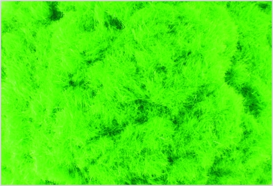 China C001 1.5mm Custom Model Train Layouts Materials Hole Sponge Grass Powder supplier