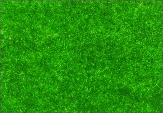 China R146 1*2.5m Architectural Scale Model Building Materials Viscose Turf Grass supplier