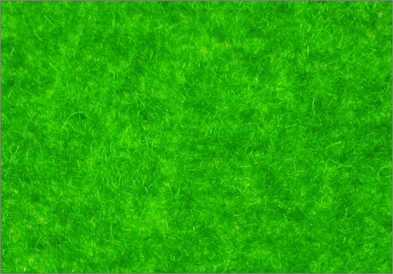 China R145 1*2.5m Architectural Scale Model Building Materials Viscose Turf Grass supplier