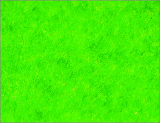 China N125 1*2.5m Custom Model Train Layouts Building Materials Nylon Turf Grass supplier