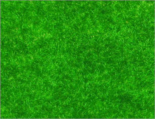 China N146 1*2.5m Custom Model Train Layouts Building Materials Nylon Turf Grass supplier