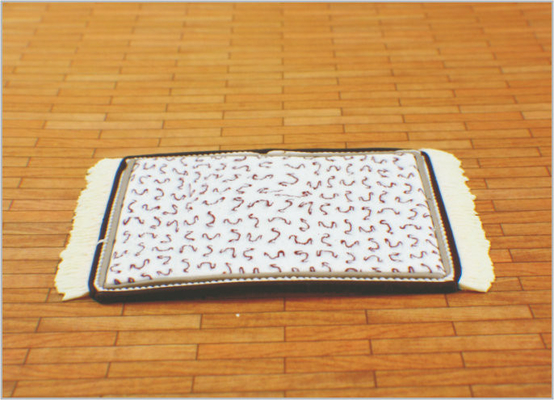 China DT05 Architectural Scale Model Home Furnishing 1:50 / 1:75 / 1:30 Pottery Carpet supplier