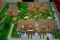 Real Estate Architectural Model Maker With Beautiful Lighting System supplier